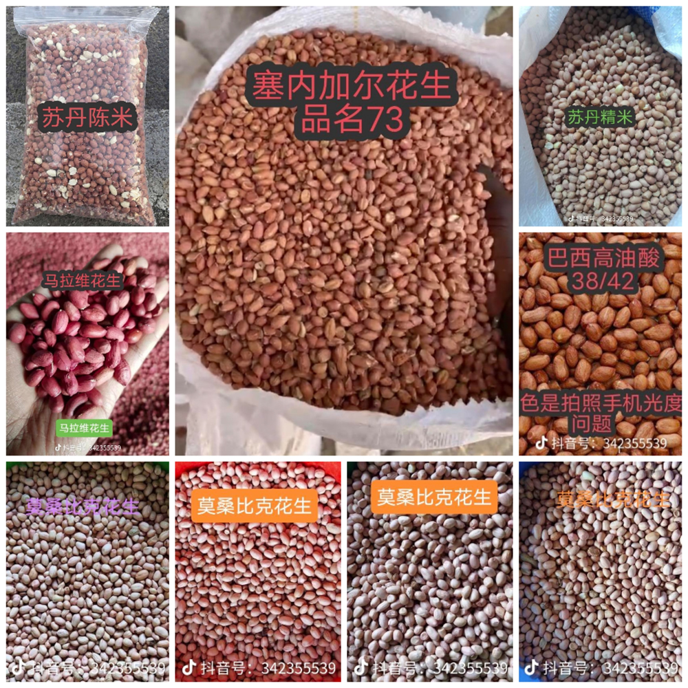 微信圖片_20230206092502.jpg 微信圖片_20230206092502.jpg