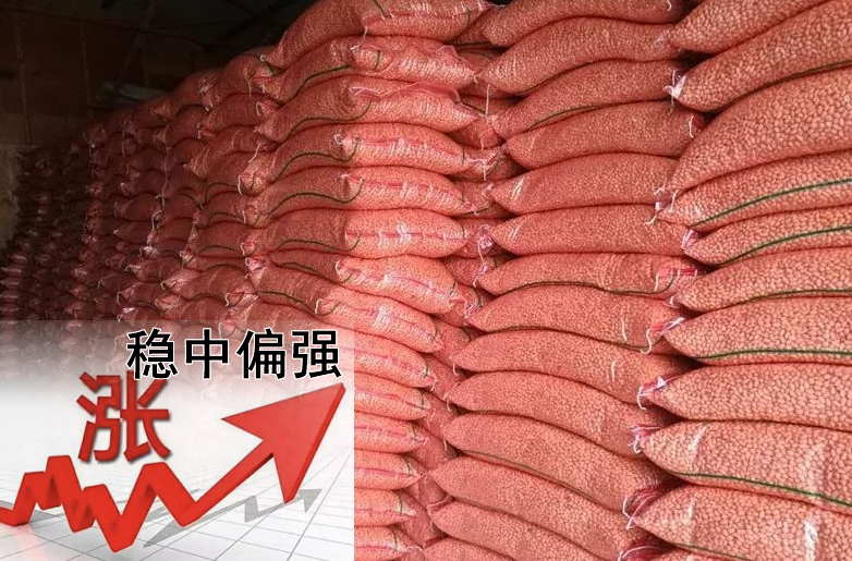 花生價格持續(xù)偏強，需要訂貨的請?zhí)崆鞍才?></a></div>
                        <div   id=